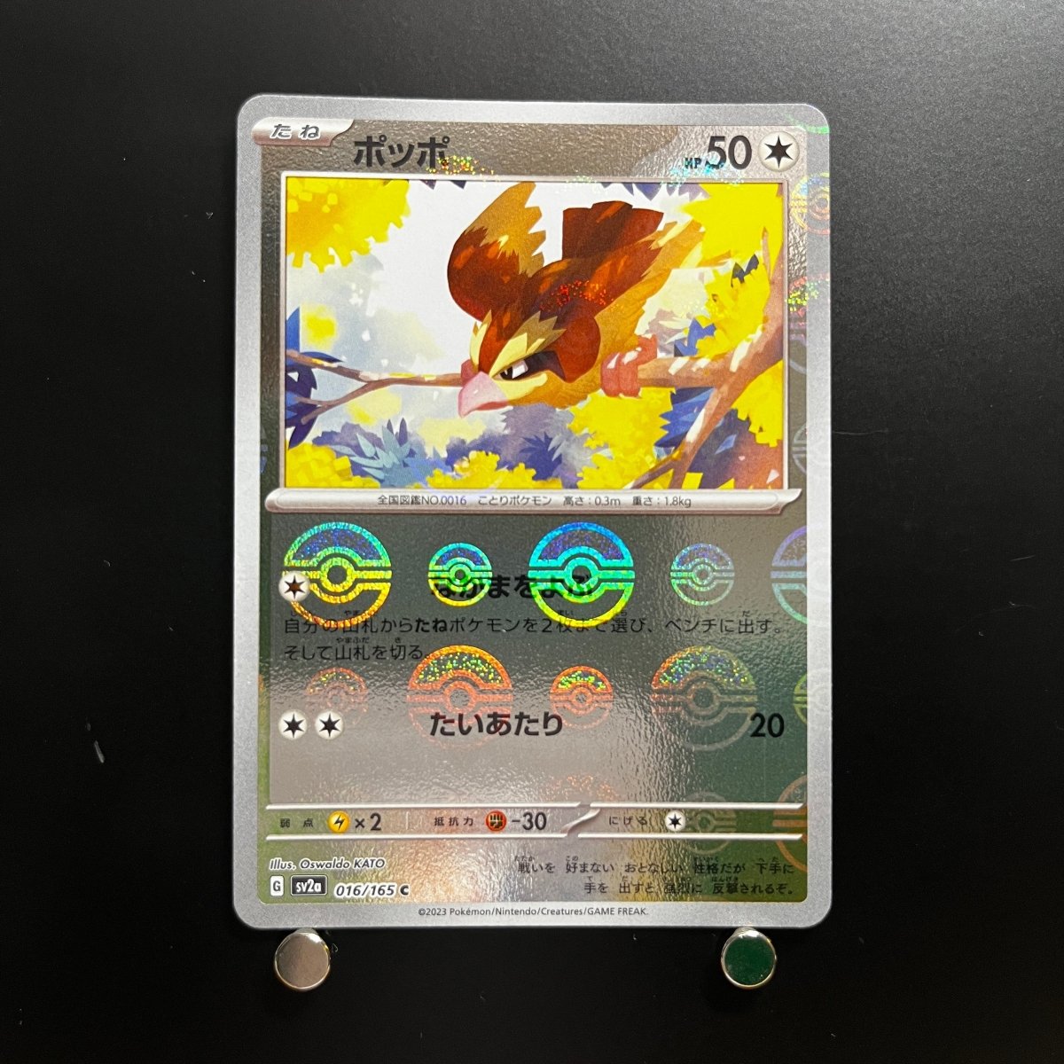 Pidgey C 016/165 Pokemon Card Pokemon 151 sv2a Japanese (1.NM) Initial damage - JariseStore